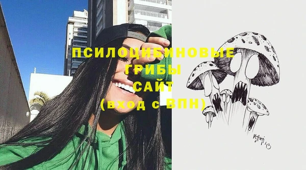 дживик Арсеньев