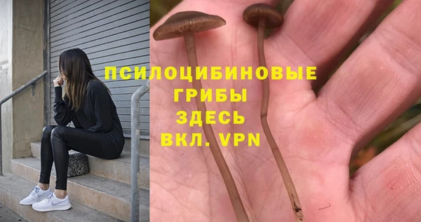 каннабис Аркадак